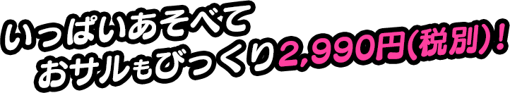 いっぱいあそべておサルもびっくり2,990円(税別)！